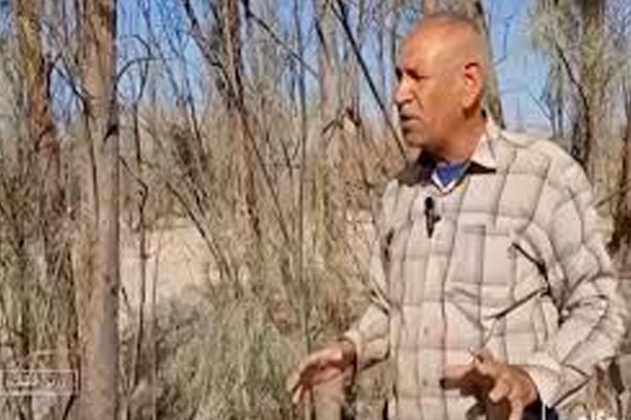 آقای عبدالله یوسفی یک راننده کامیون است که در کنار کارش موفق به کاشت درخت گز شاهی در ۸۵ هکتار از اراضی شوره زار شهرستان زرین دشت استان فارس ...