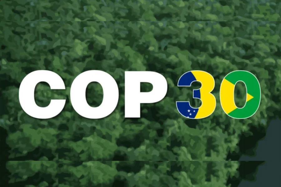 . نیجریه در آستانه COP30 چارچوب ملی بازار کربن را تصویب کرد